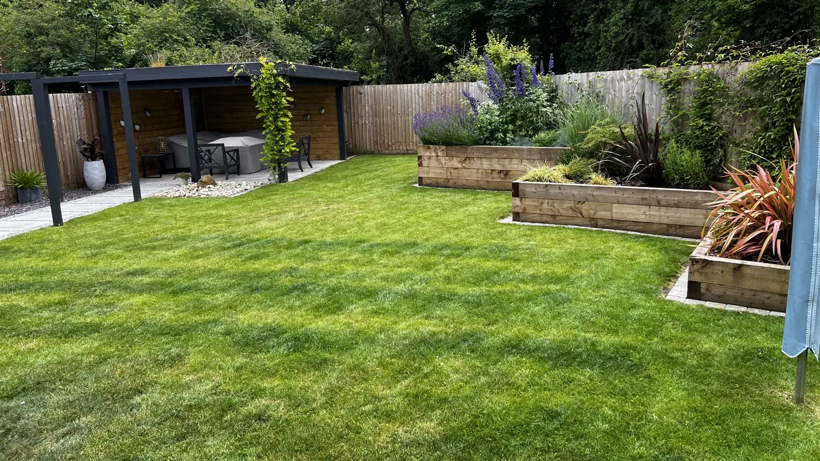 Back garden lawn, freshly cut
