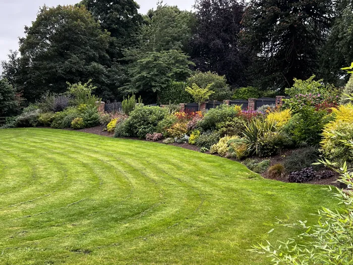 Striped lawn and planted borders