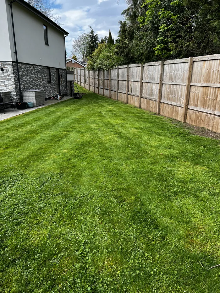 Side lawn along the fence line
