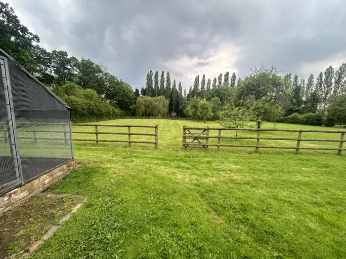 Paddock cut and tidied